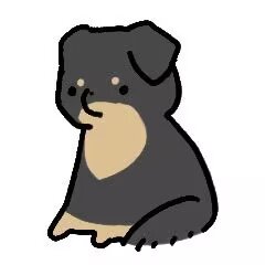 好多狗