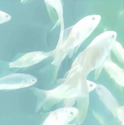 青色系