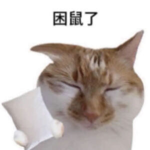 猫猫表情包