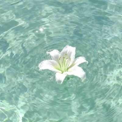 青色系