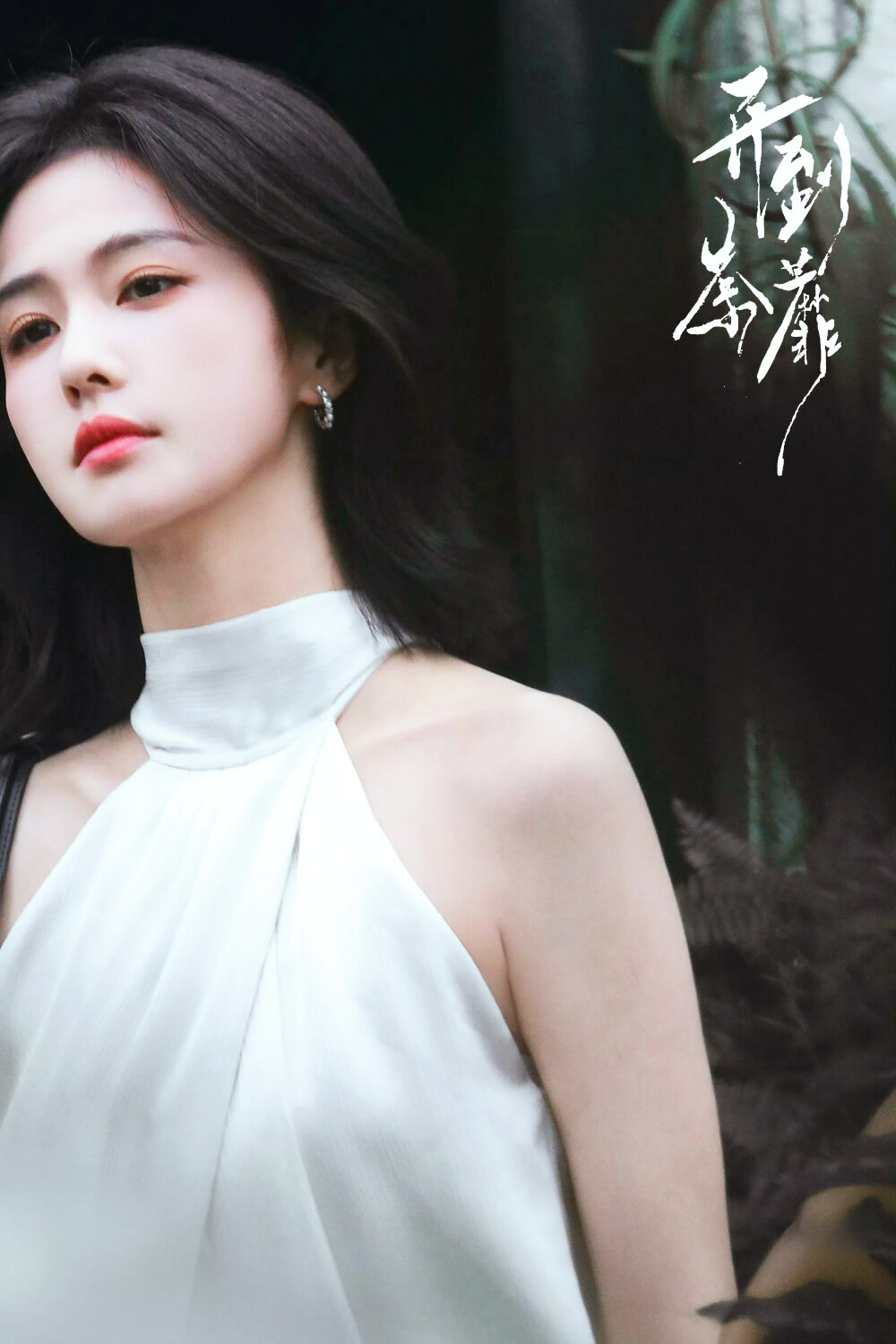 白鹿