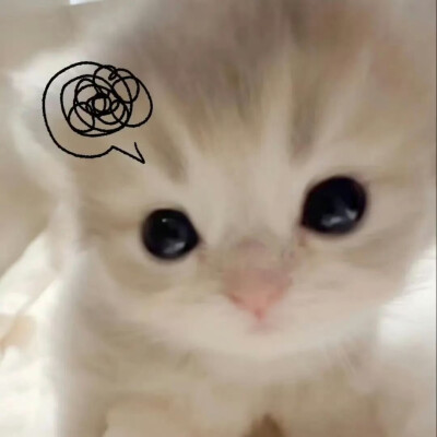 。