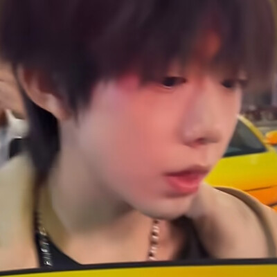 猪