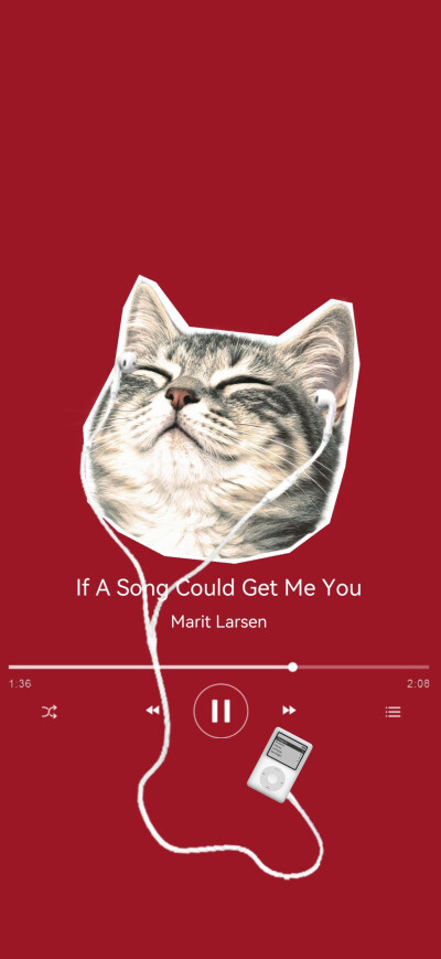 猫猫