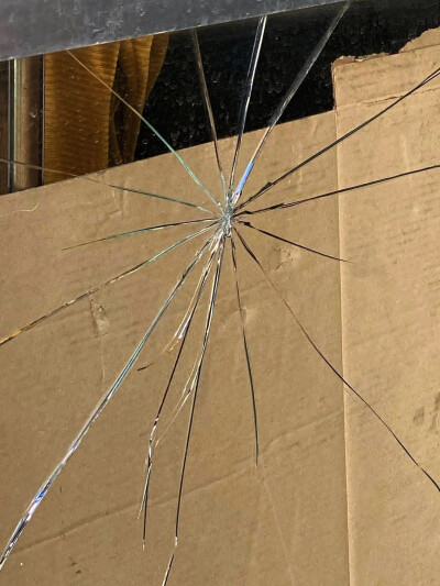 日常
z