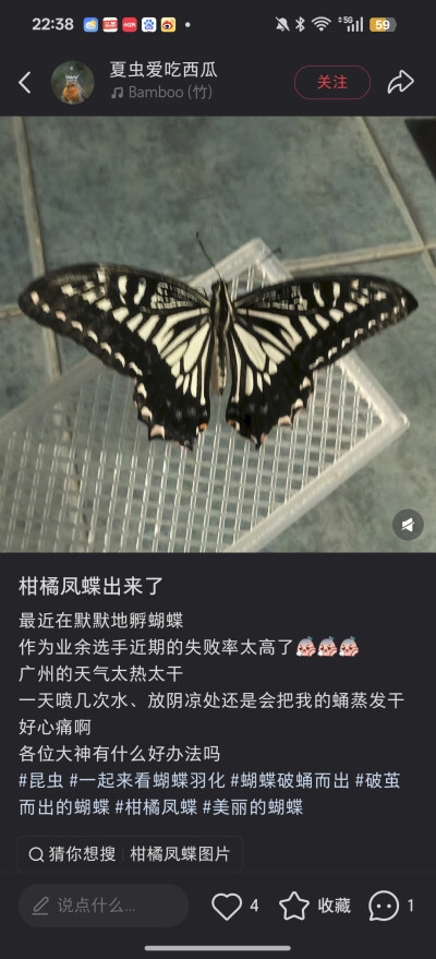 。