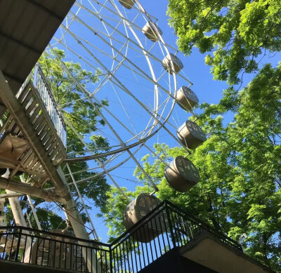 送你一张回忆照片