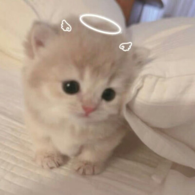。