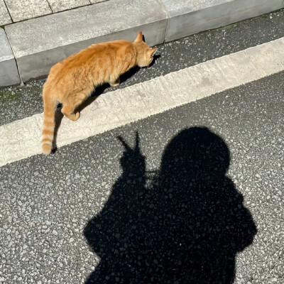 背景图