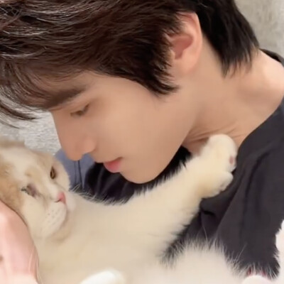 ᓚᘏᗢ "♡⸝⸝꙳