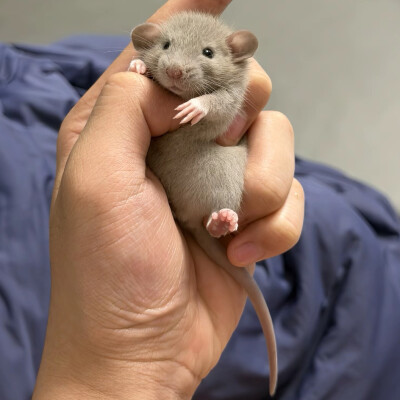 ～