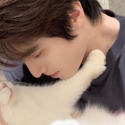 ᓚᘏᗢ "♡⸝⸝꙳