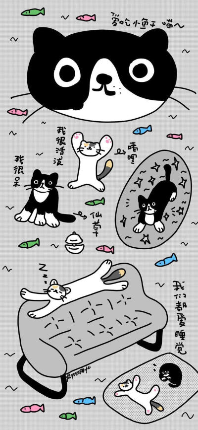 壁纸