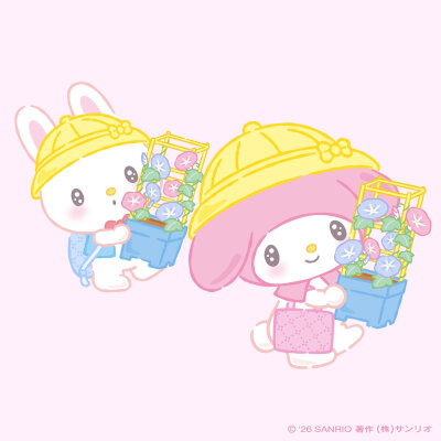 美乐蒂