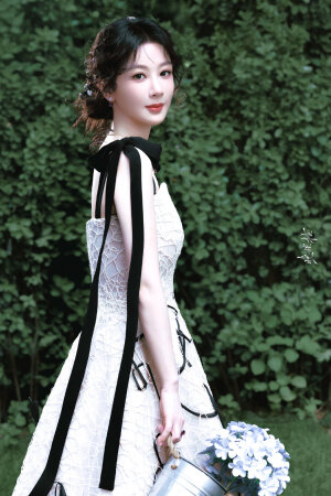 杨紫