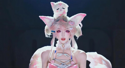 机智张