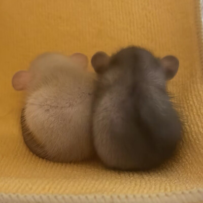 ～
