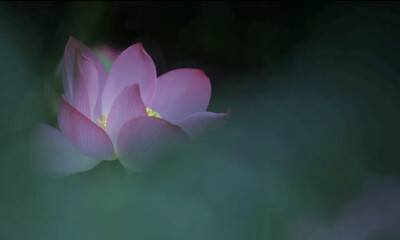 。