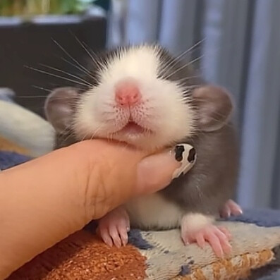 ～