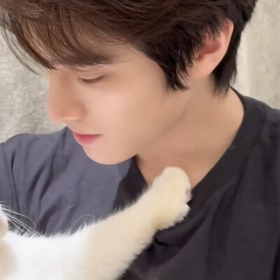 ᓚᘏᗢ "♡⸝⸝꙳