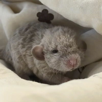 ～
