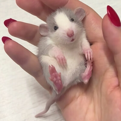 ～