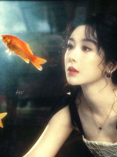 杨紫