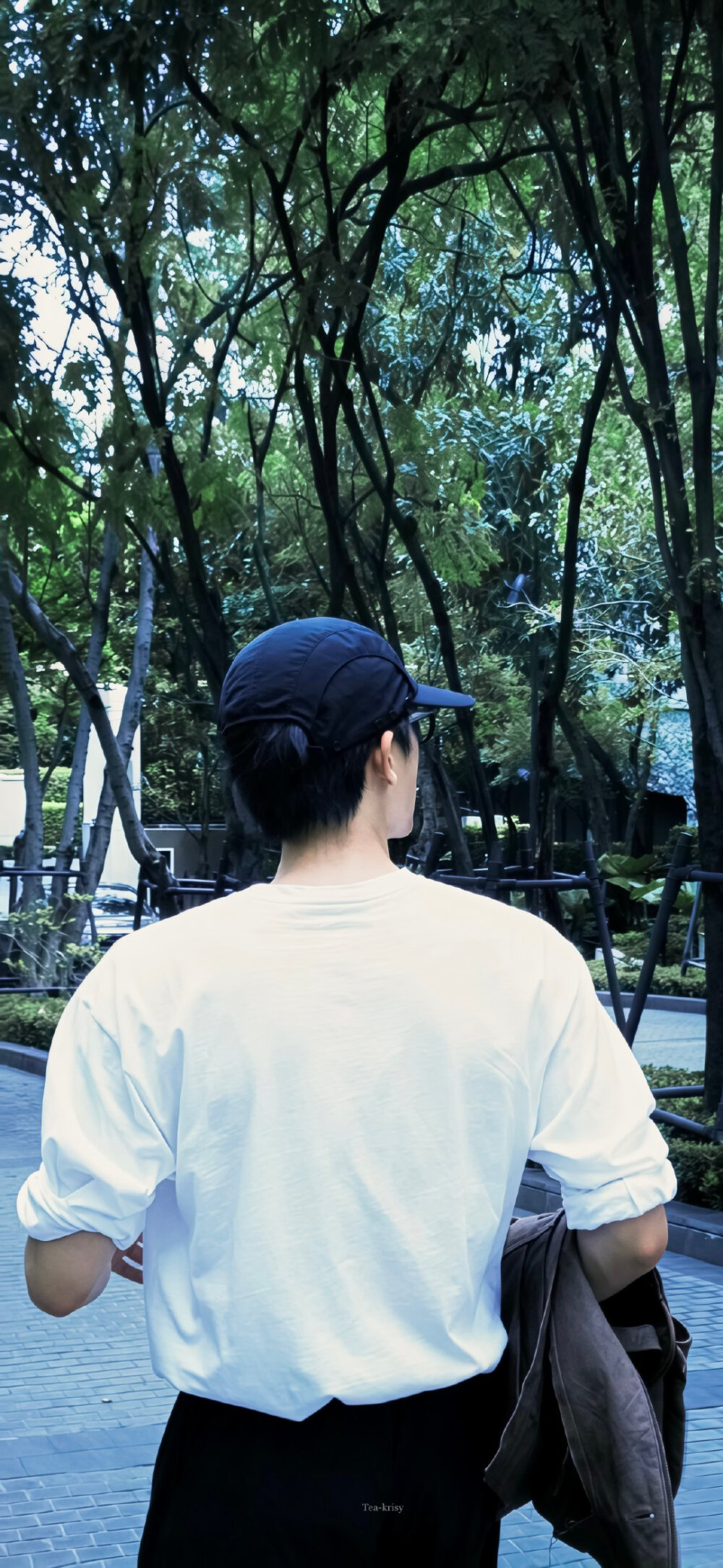 王安宇