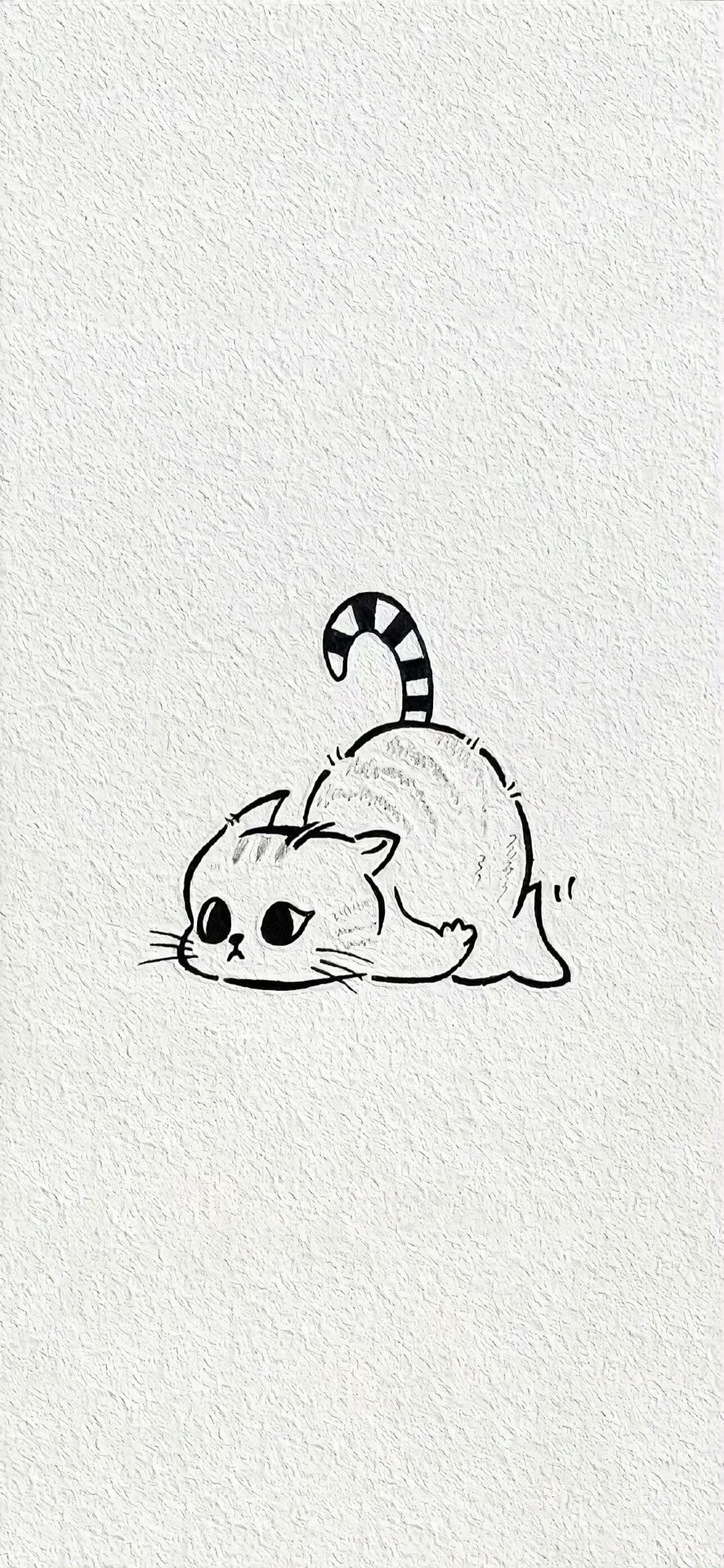 壁纸