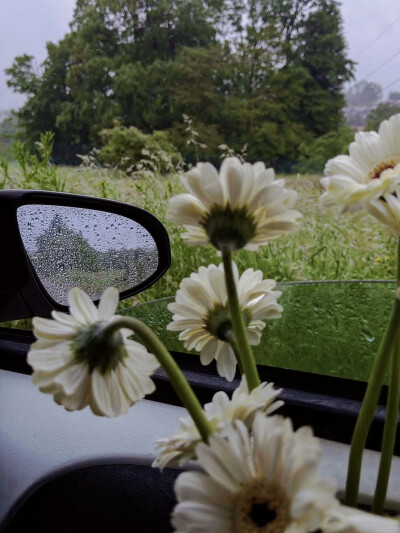 日常
阵雨
