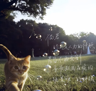 小众背景图