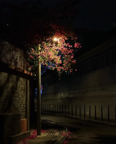 背景图