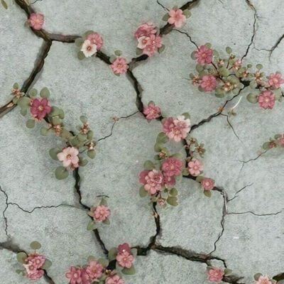 #قدرات خارقة
