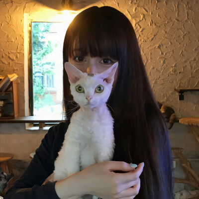 悄悄退场