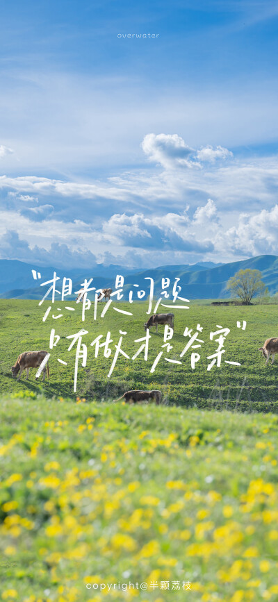 壁纸