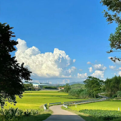 背景图
