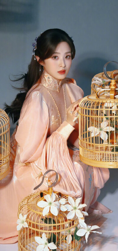 张含韵