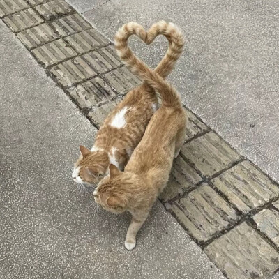 ～