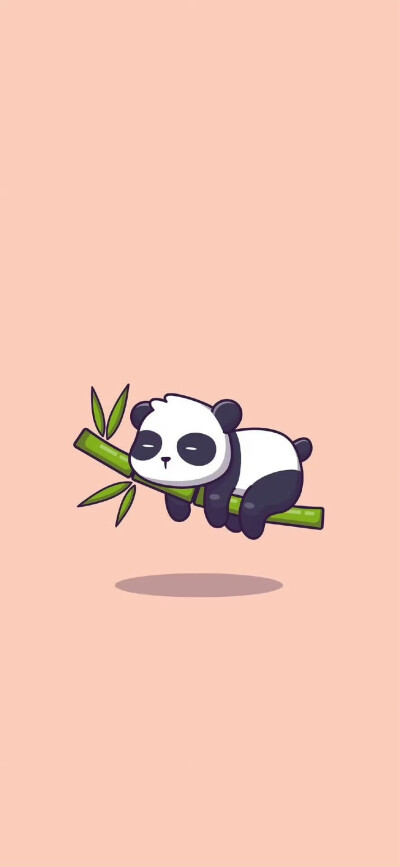 壁纸