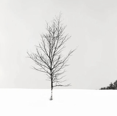 小众背景图
