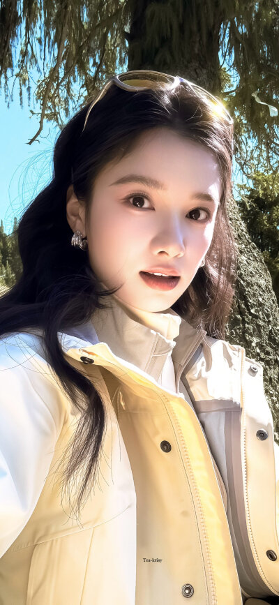 张婧仪