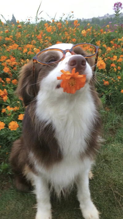 ～