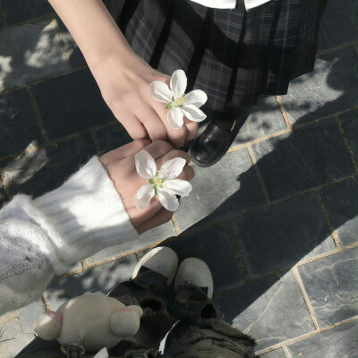 小众背景图