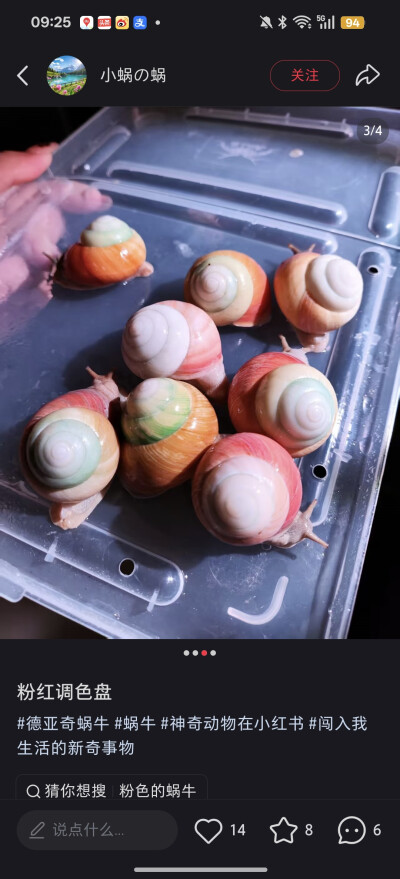 。