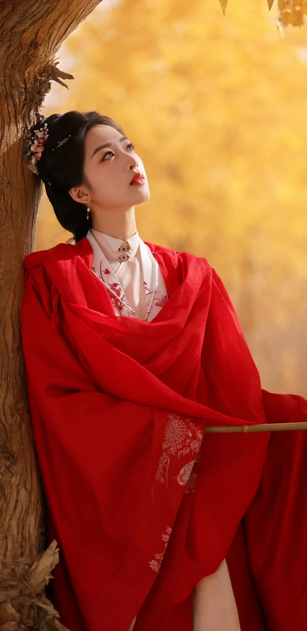 邓恩熙《花开锦绣》傅庭芸