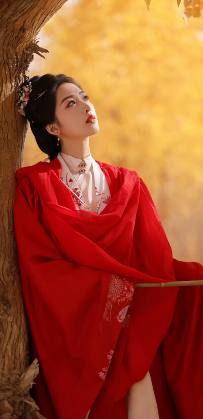 邓恩熙《花开锦绣》傅庭芸