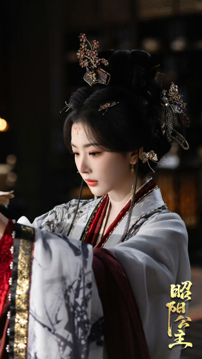 昭阳公主 李述 孔雪儿