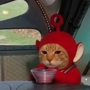 猫猫表情包