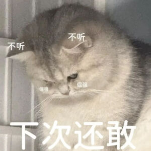 猫猫表情包