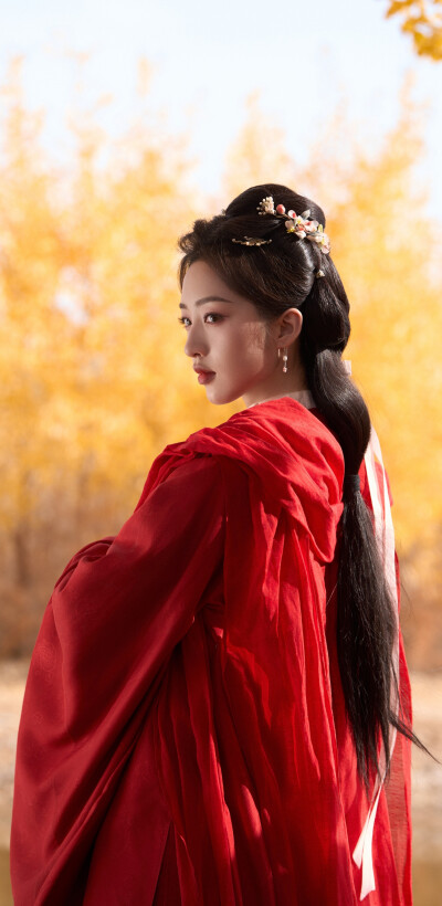 邓恩熙《花开锦绣》傅庭芸